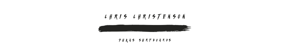 Pukas Surf Surfboards Water Lion by Chris Christenson