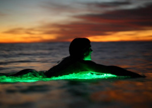 Pukas Surfboards LED LEDs by Indo Surf Lights Aritz Aranburu