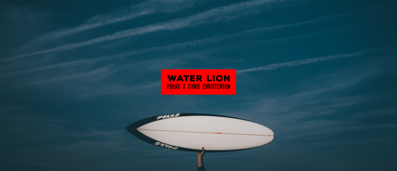 Pukas Surf Water Lion by Chris Christenson