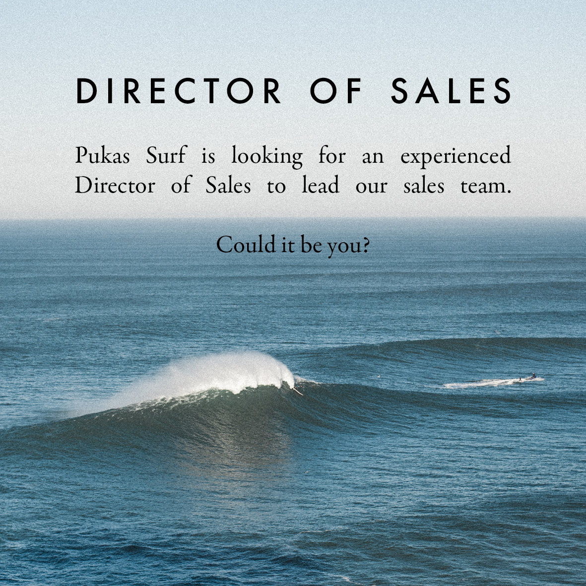 Pukas Director of Sales